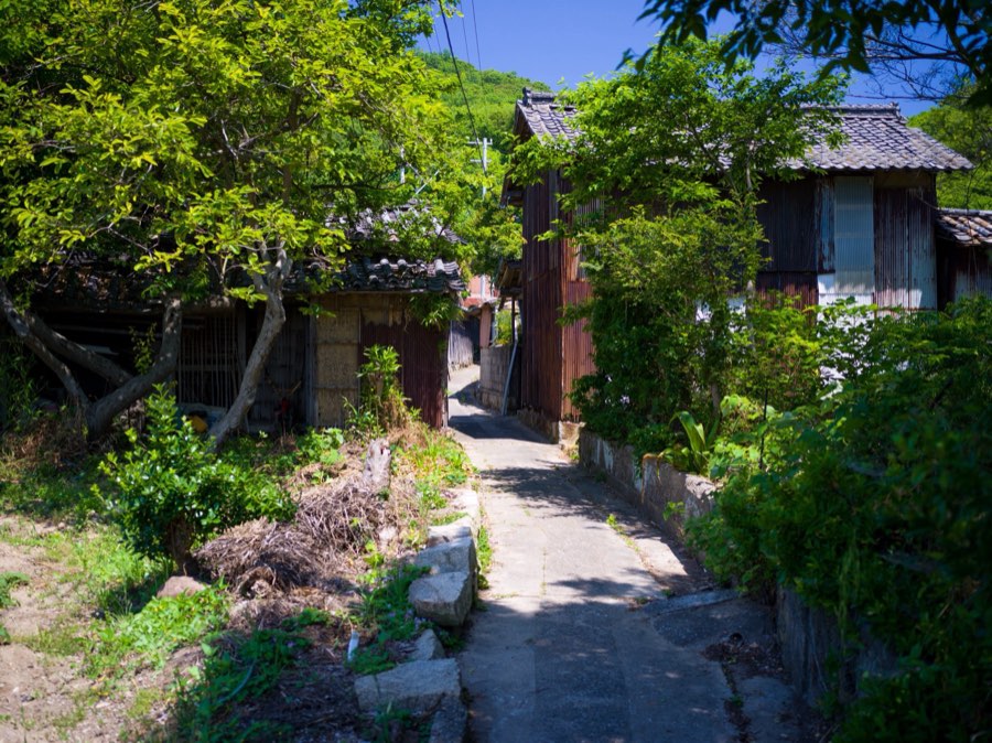 Kagawa, Spring 2020, Japan. Photograph by Jordy Meow