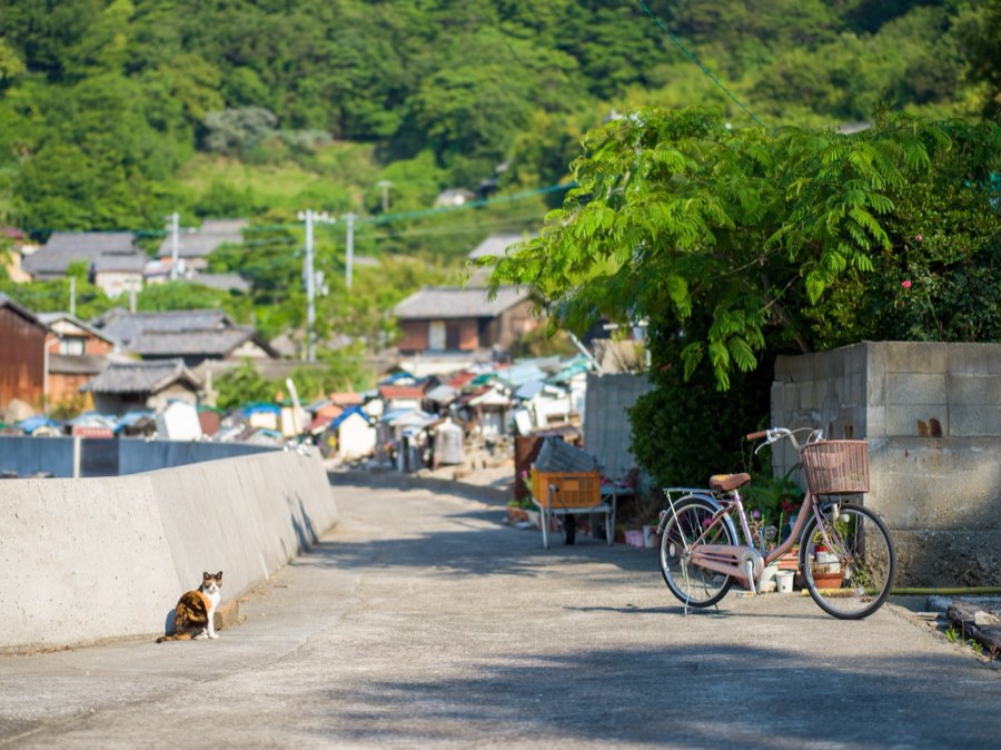 Kagawa, Spring 2020, Japan. Photograph by Jordy Meow