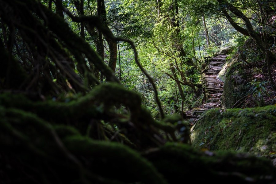 Kagoshima, Spring 2025, Japan. Photograph by Jordy Meow
