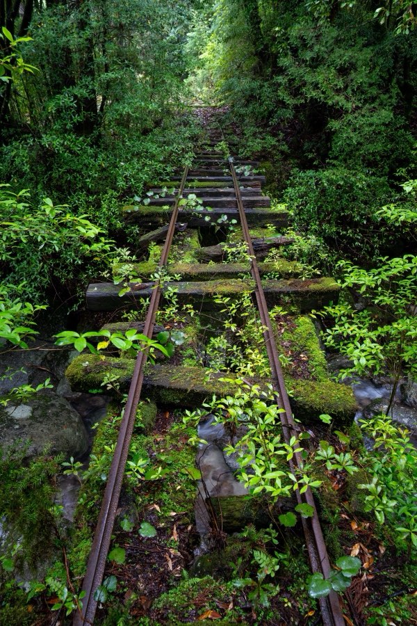 Kagoshima, Spring 2025, Japan. Photograph by Jordy Meow