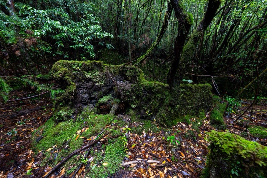 Kagoshima, Spring 2025, Japan. Photograph by Jordy Meow