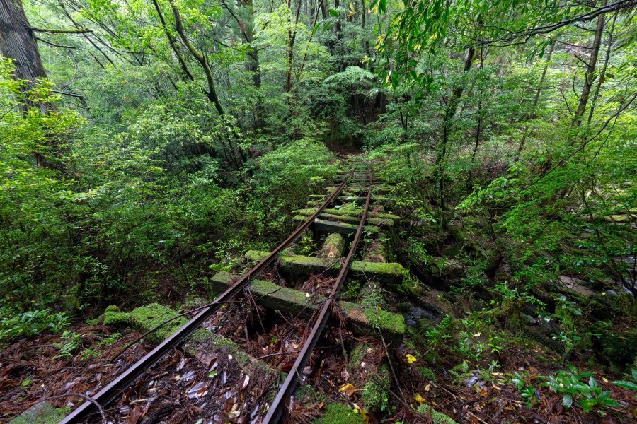 Kagoshima, Spring 2025, Japan. Photograph by Jordy Meow