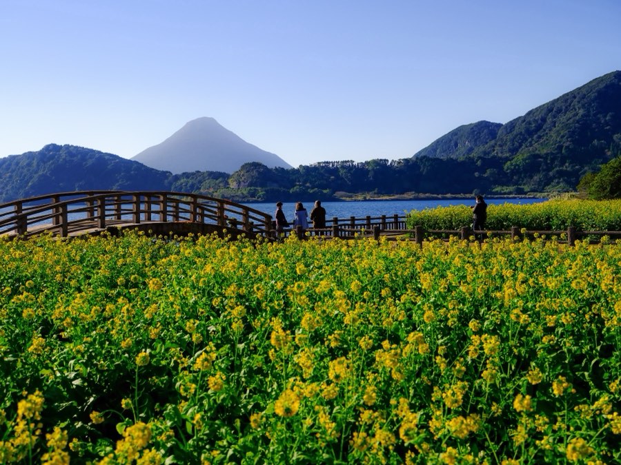 Kagoshima, Winter 2022, Japan. Photograph by Jordy Meow