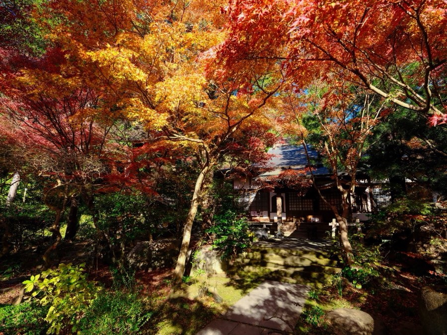Kanagawa, Winter 2021, Japan. Photograph by Jordy Meow