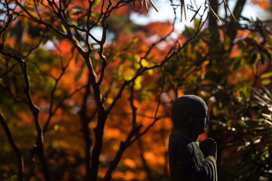 Kanagawa, Autumn 2017, Japan. Photograph by Jordy Meow