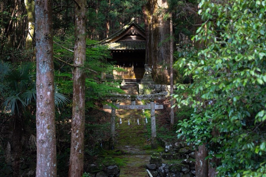 Kochi, Spring 2019, Japan. Photograph by Jordy Meow