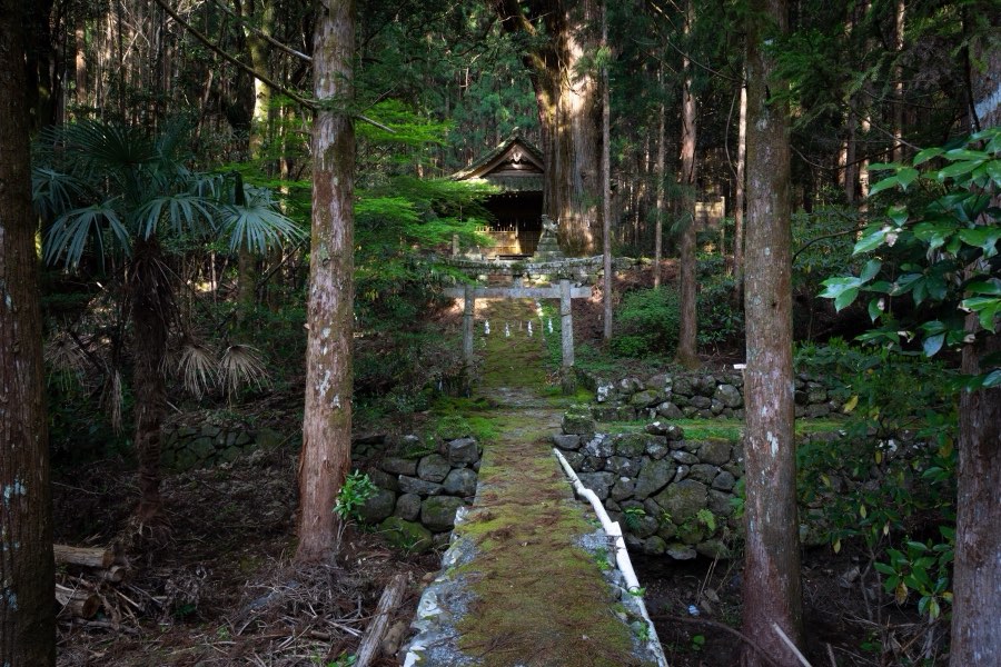 Kochi, Spring 2019, Japan. Photograph by Jordy Meow