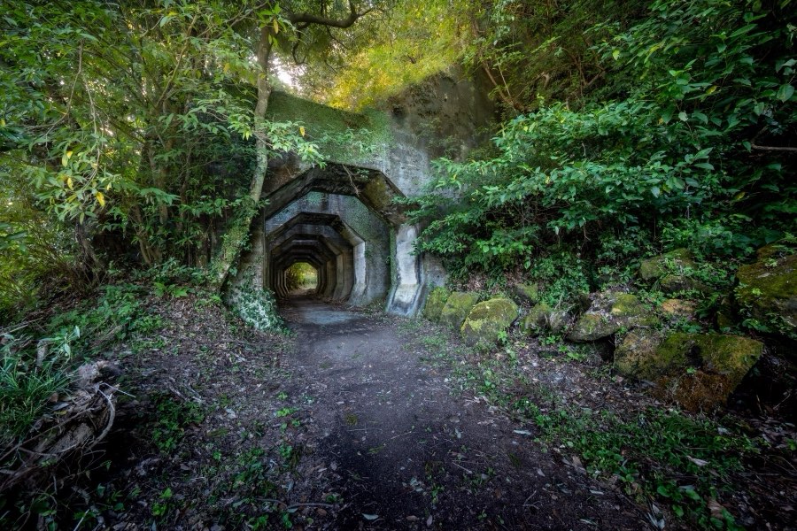 Kumamoto, Autumn 2019, Japan. Photograph by Jordy Meow