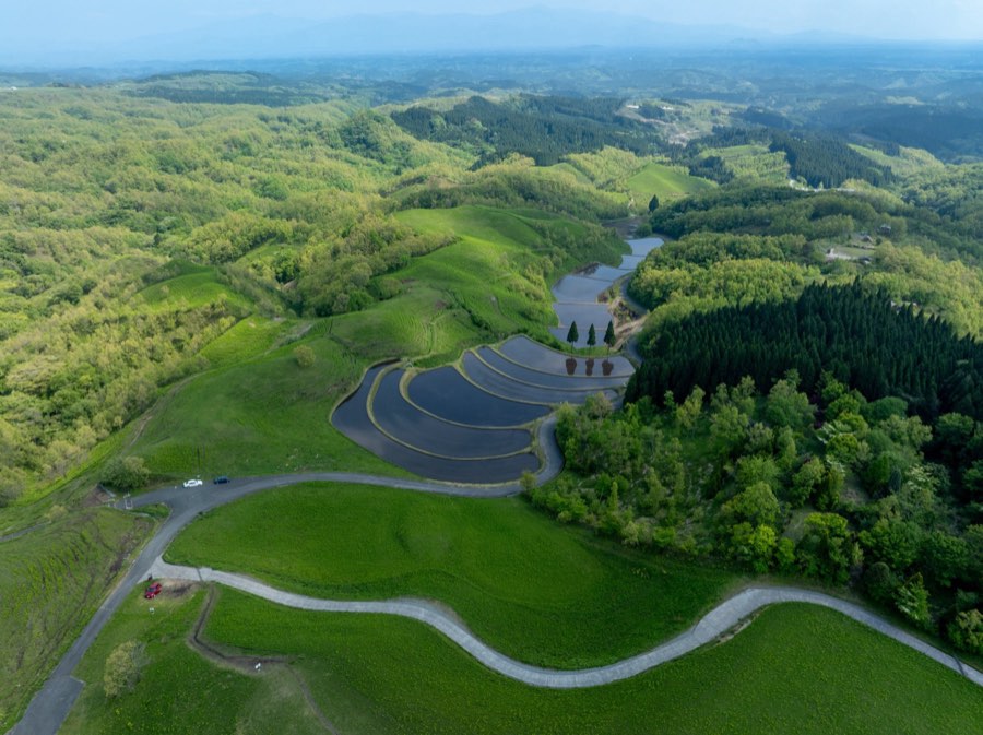 Kumamoto, Spring 2025, Japan. Photograph by Jordy Meow