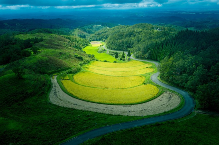 Kumamoto, Autumn 2019, Japan. Photograph by Jordy Meow