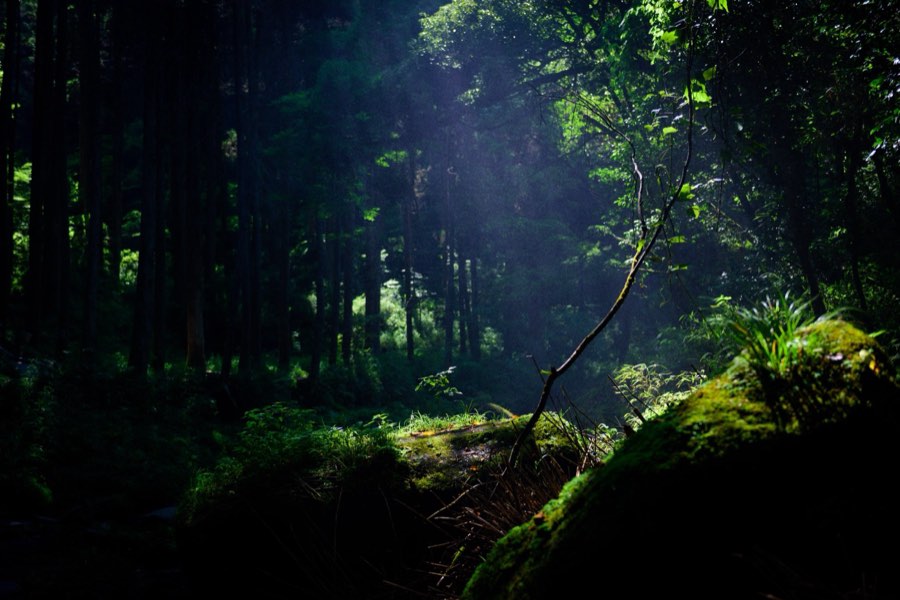 Kumamoto, Summer 2015, Japan. Photograph by Jordy Meow