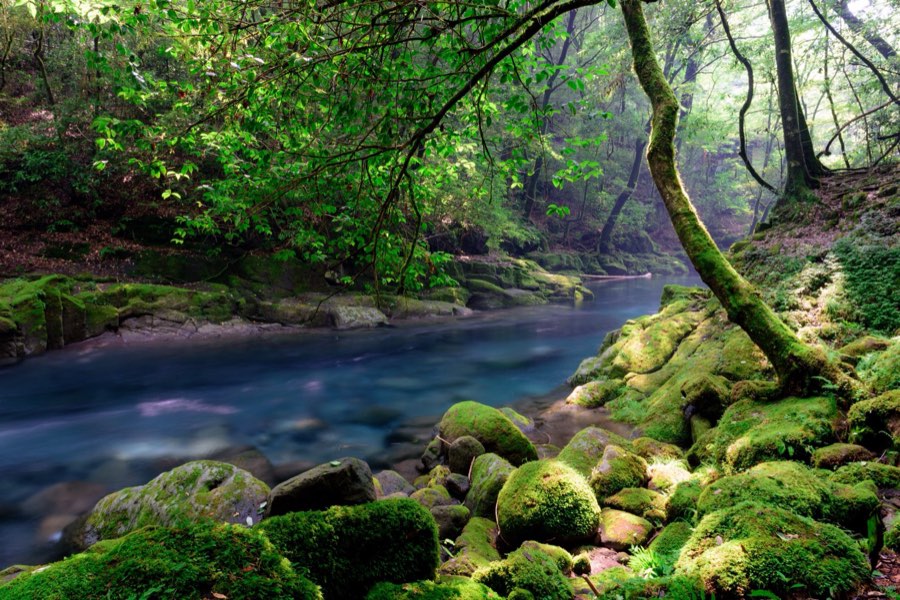Kumamoto, Summer 2015, Japan. Photograph by Jordy Meow