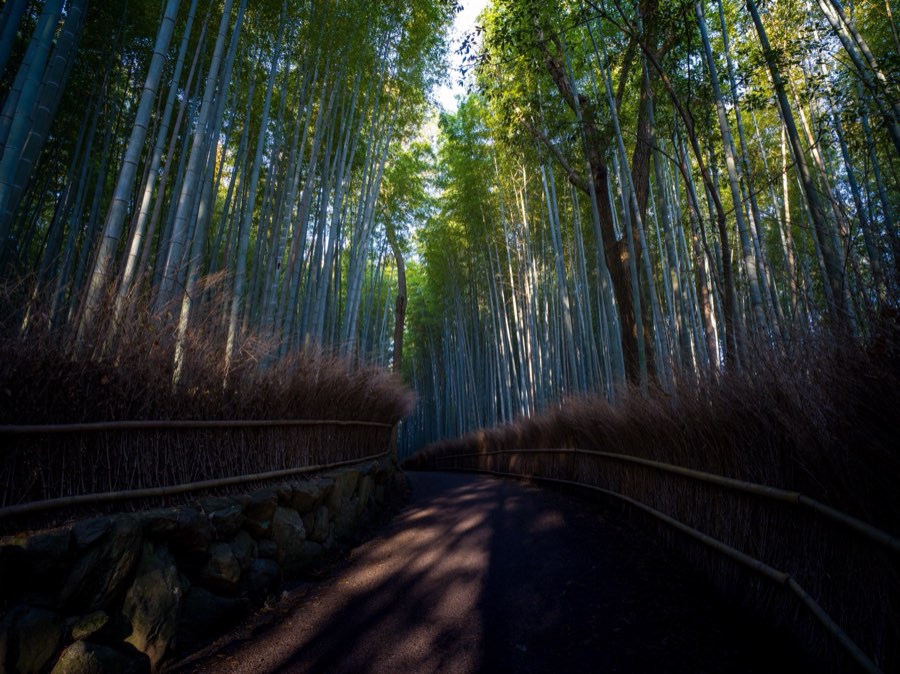 Kyoto, Spring 2020, Japan. Photograph by Jordy Meow