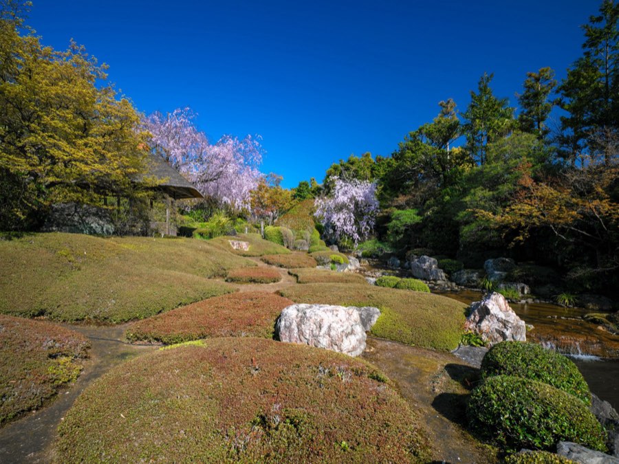 Kyoto, Spring 2020, Japan. Photograph by Jordy Meow