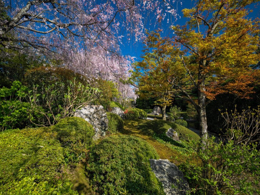 Kyoto, Spring 2020, Japan. Photograph by Jordy Meow