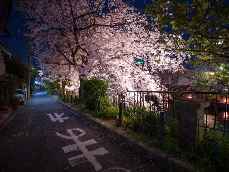 Kyoto, Spring 2020, Japan. Photograph by Jordy Meow