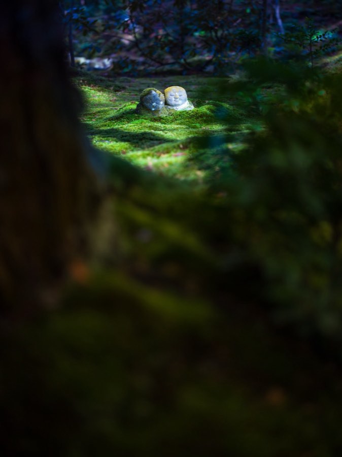 Kyoto, Autumn 2019, Japan. Photograph by Jordy Meow