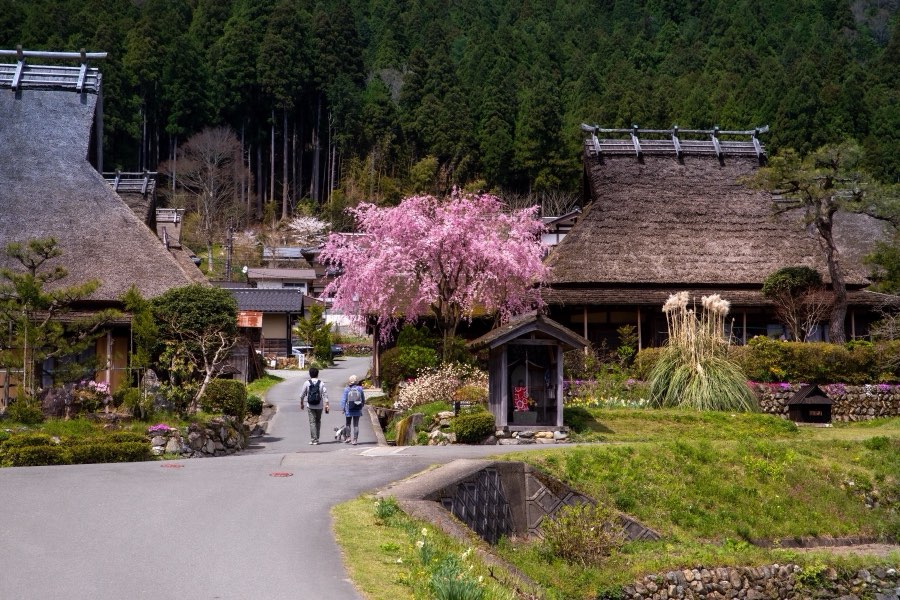 Kyoto, Spring 2019, Japan. Photograph by Jordy Meow