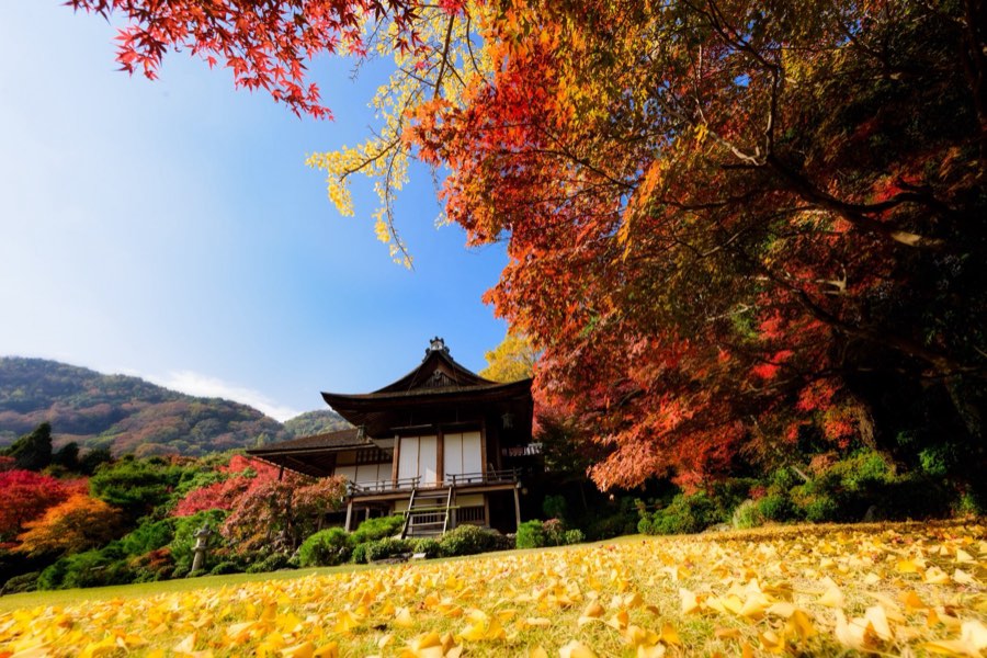 Kyoto, Autumn 2014, Japan. Photograph by Jordy Meow