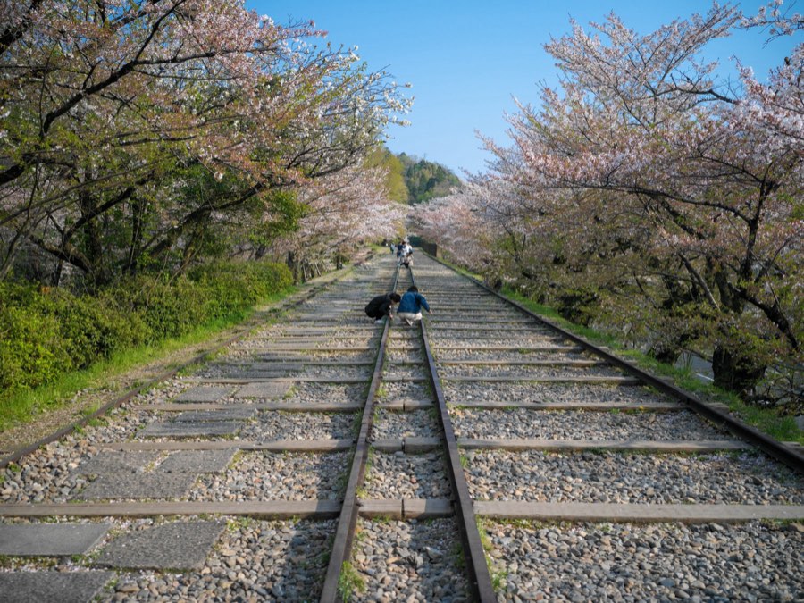 Kyoto, Spring 2020, Japan. Photograph by Jordy Meow