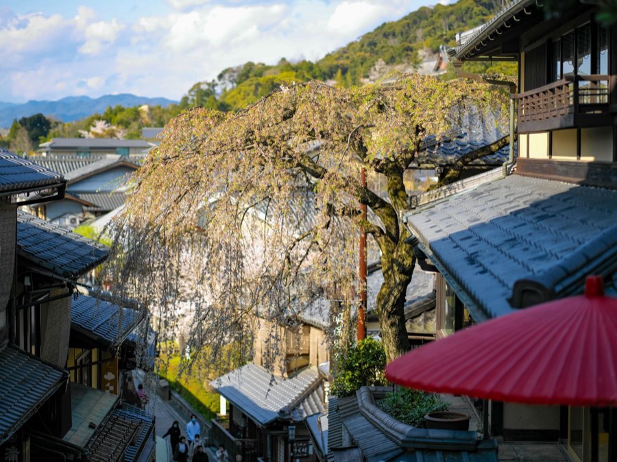 Kyoto, Spring 2020, Japan. Photograph by Jordy Meow