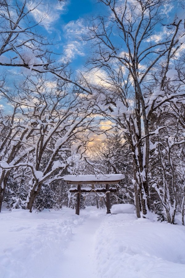 Nagano, Winter 2025, Japan. Photograph by Jordy Meow