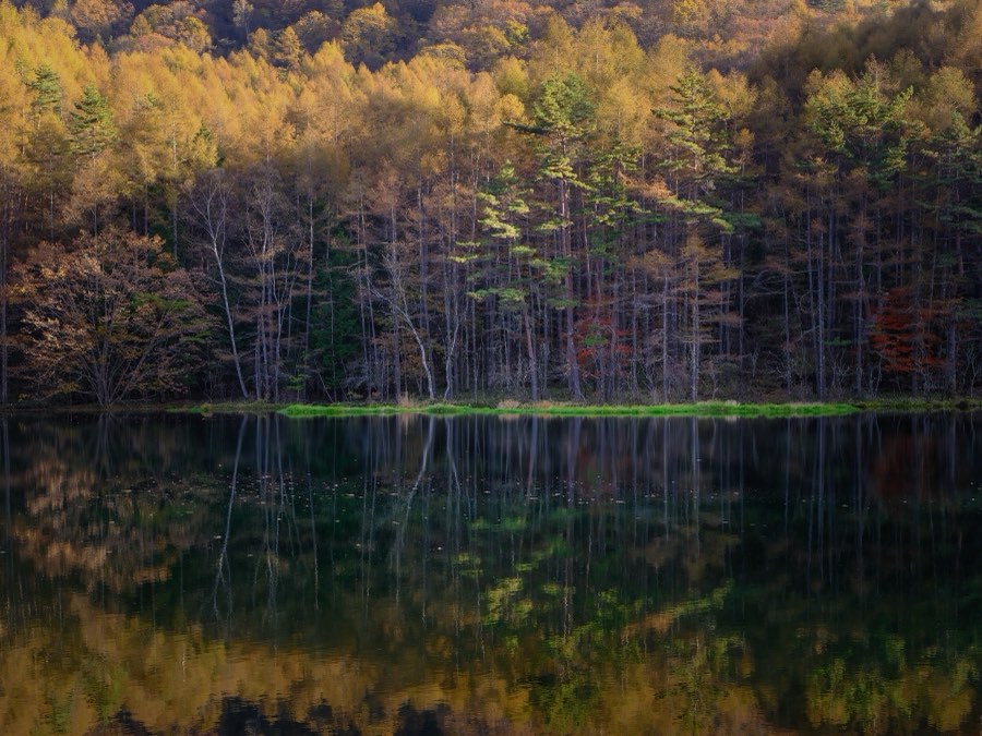 Nagano, Autumn 2022, Japan. Photograph by Jordy Meow
