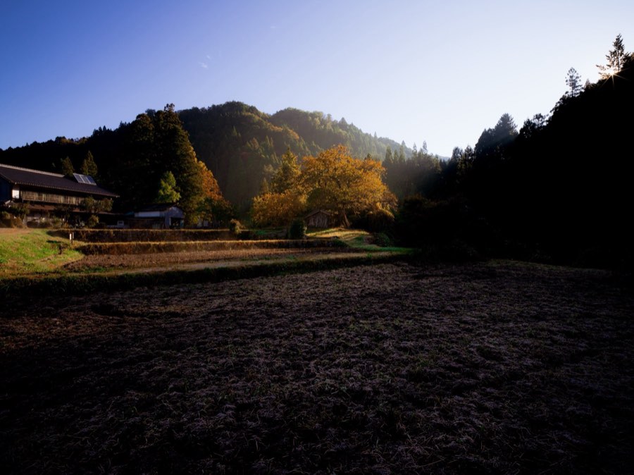 Nagano, Autumn 2019, Japan. Photograph by Jordy Meow