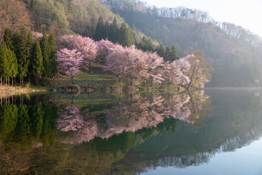 Nagano, Spring 2019, Japan. Photograph by Jordy Meow