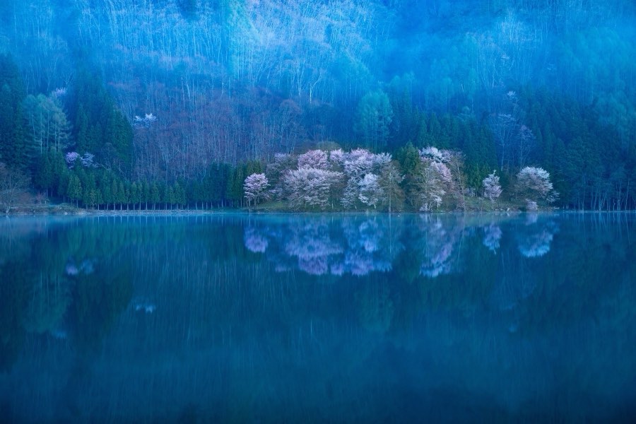 Nagano, Spring 2019, Japan. Photograph by Jordy Meow
