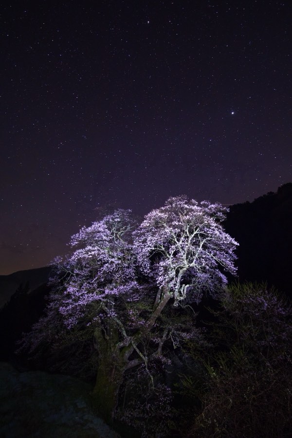 Nagano, Spring 2017, Japan. Photograph by Jordy Meow