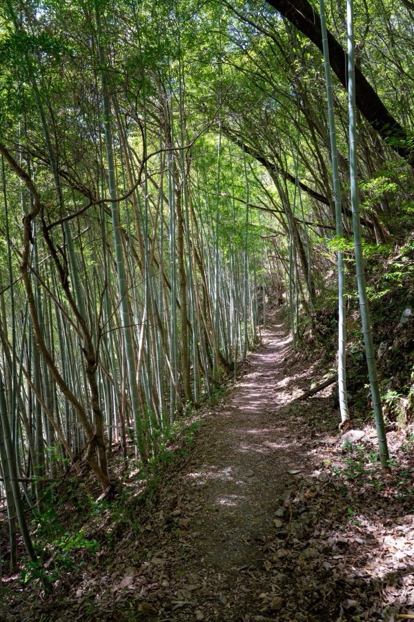 Nagano, Spring 2026, Japan. Photograph by Jordy Meow
