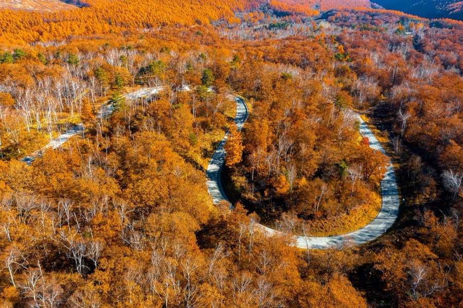 Nagano, Autumn 2021, Japan. Photograph by Jordy Meow