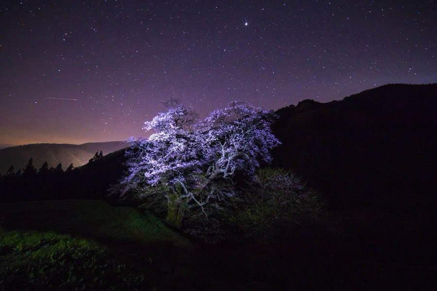 Nagano, Spring 2017, Japan. Photograph by Jordy Meow