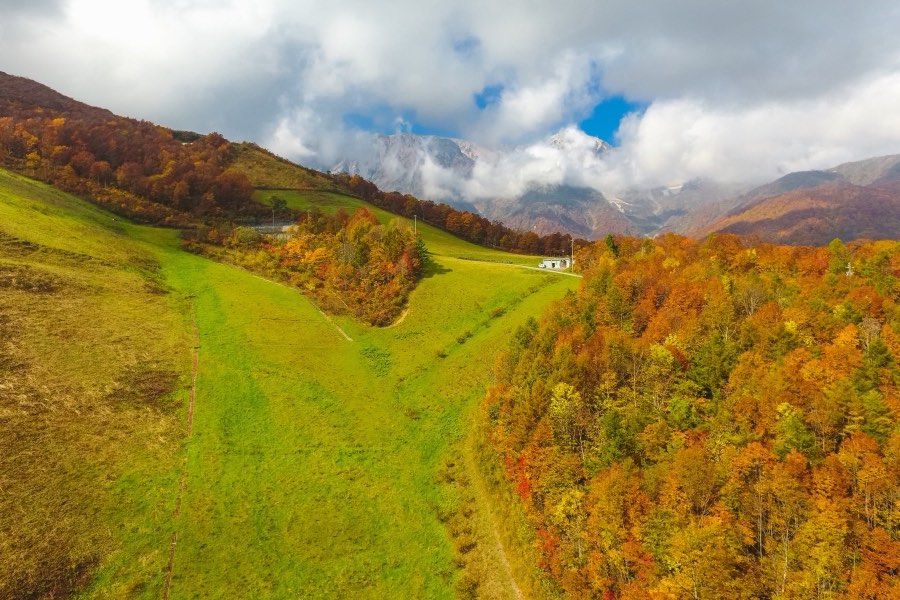 Nagano, Autumn 2016, Japan. Photograph by Jordy Meow