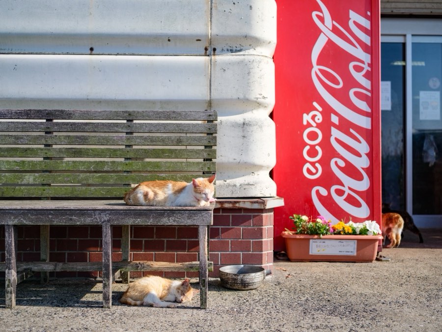 Nagasaki, Spring 2022, Japan. Photograph by Jordy Meow