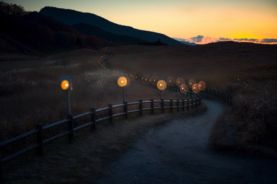 Nara, Autumn 2016, Japan. Photograph by Jordy Meow