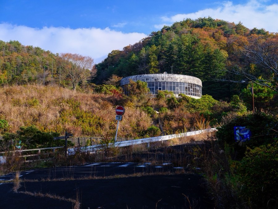 Nara, Autumn 2022, Japan. Photograph by Jordy Meow