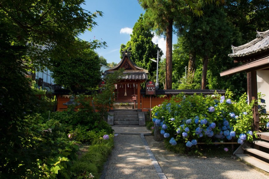 Nara, Summer 2016, Japan. Photograph by Jordy Meow
