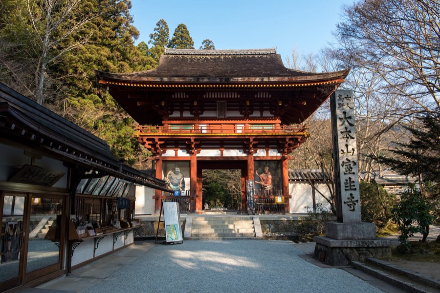 Nara, Winter 2016, Japan. Photograph by Jordy Meow