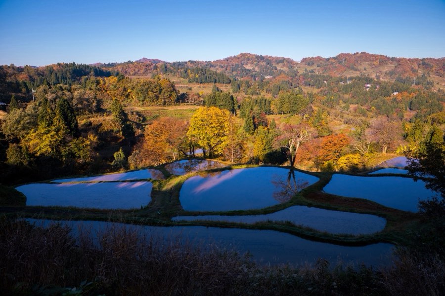 Niigata, Autumn 2017, Japan. Photograph by Jordy Meow