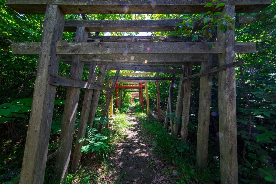 Niigata, Summer 2017, Japan. Photograph by Jordy Meow