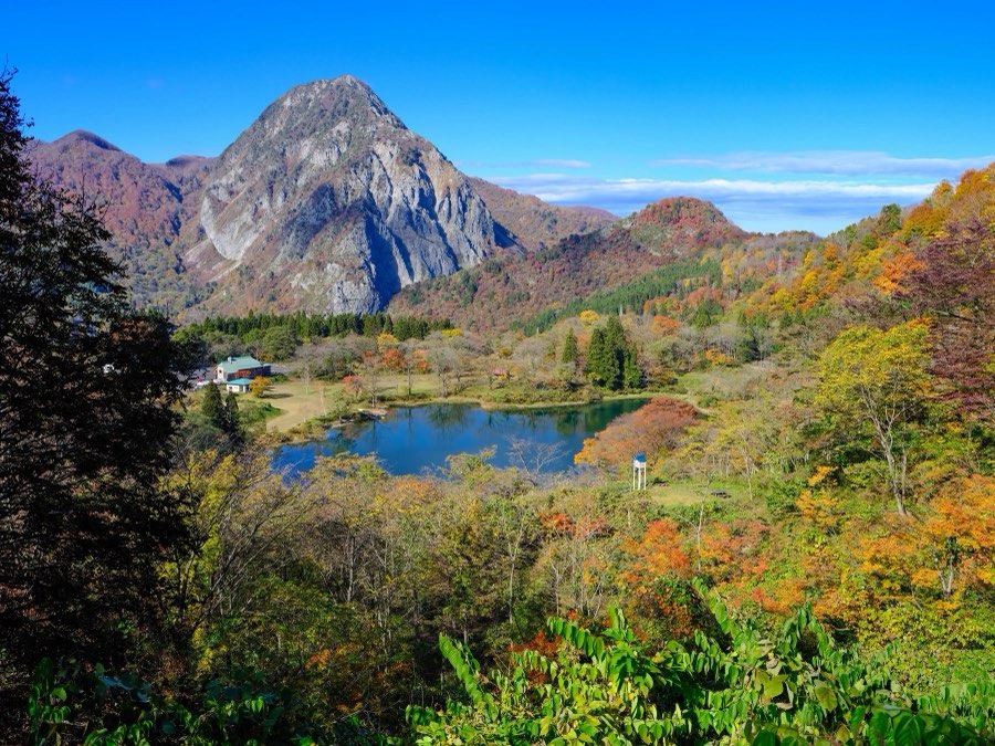 Niigata, Autumn 2022, Japan. Photograph by Jordy Meow