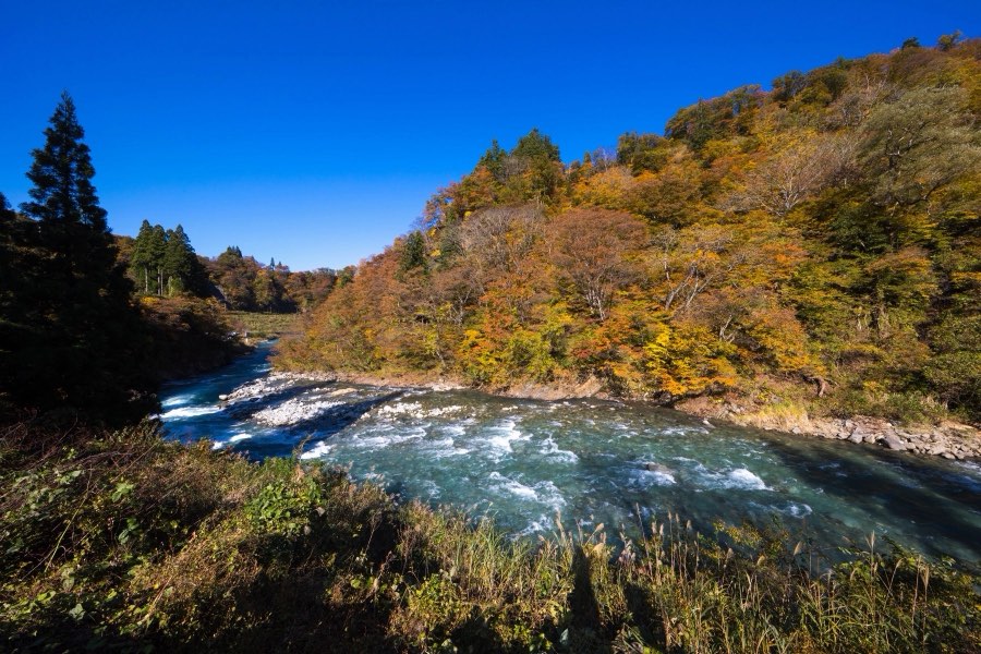 Niigata, Autumn 2017, Japan. Photograph by Jordy Meow