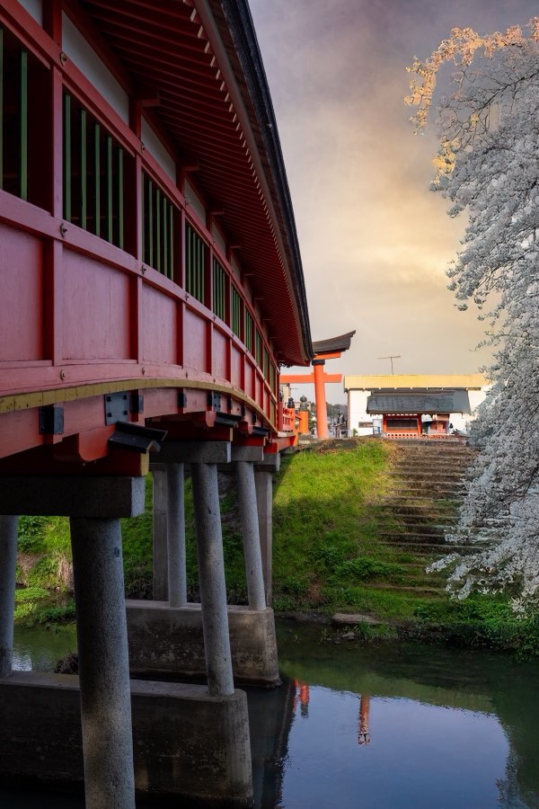 Oita, Spring 2024, Japan. Photograph by Jordy Meow