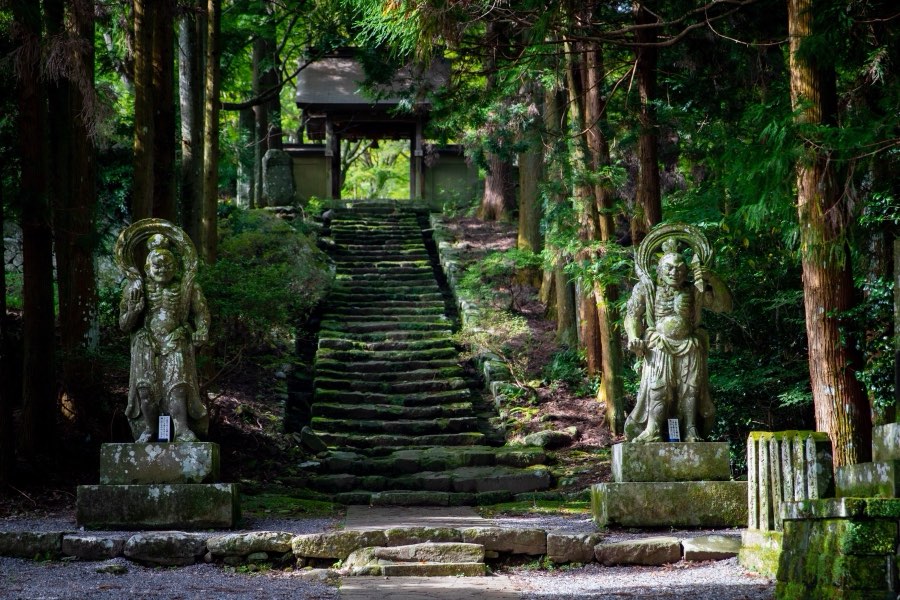 Oita, Autumn 2019, Japan. Photograph by Jordy Meow