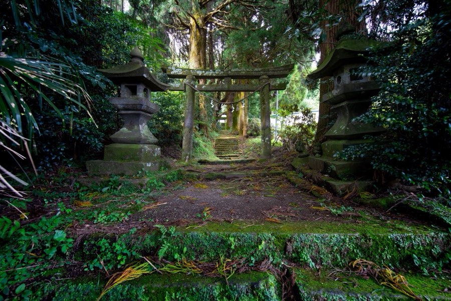 Oita, Autumn 2019, Japan. Photograph by Jordy Meow