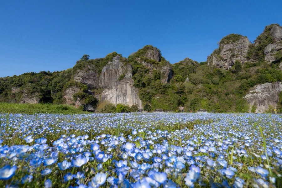 Oita, Spring 2024, Japan. Photograph by Jordy Meow