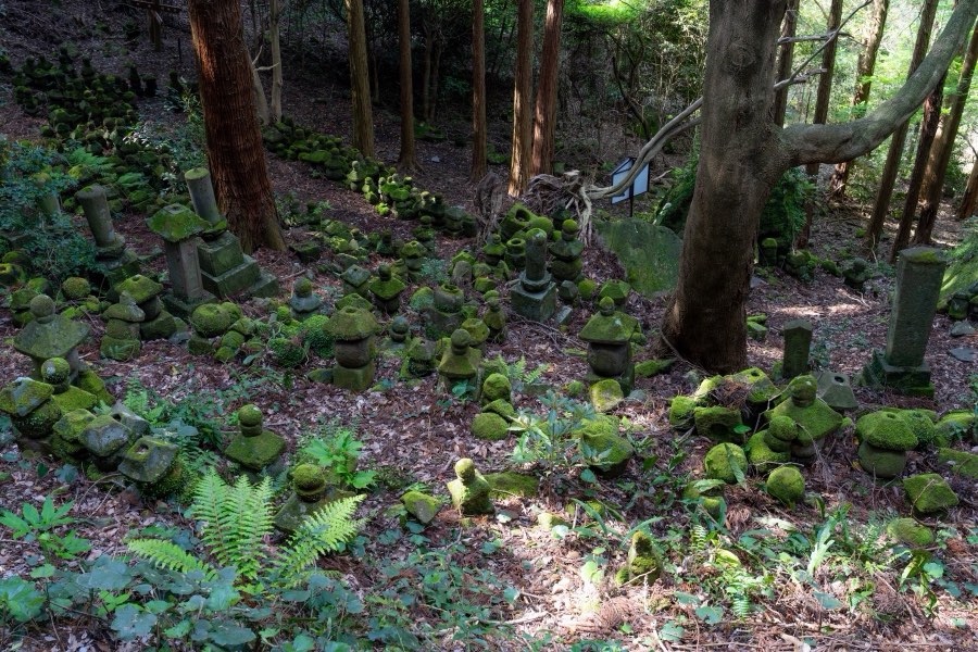 Oita, Spring 2024, Japan. Photograph by Jordy Meow