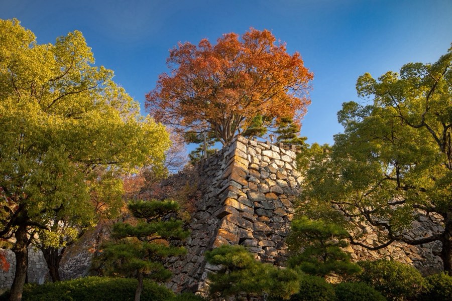 Okayama, Autumn 2018, Japan. Photograph by Jordy Meow